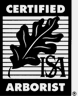 ISA certified arborist