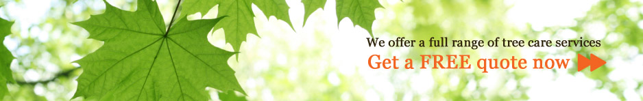 Get a FREE quote now