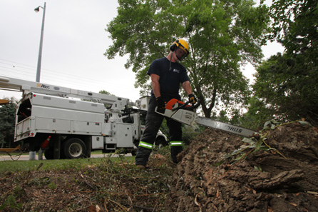 worker cutting a tree with a chainsaw - Tree Service Mississauga